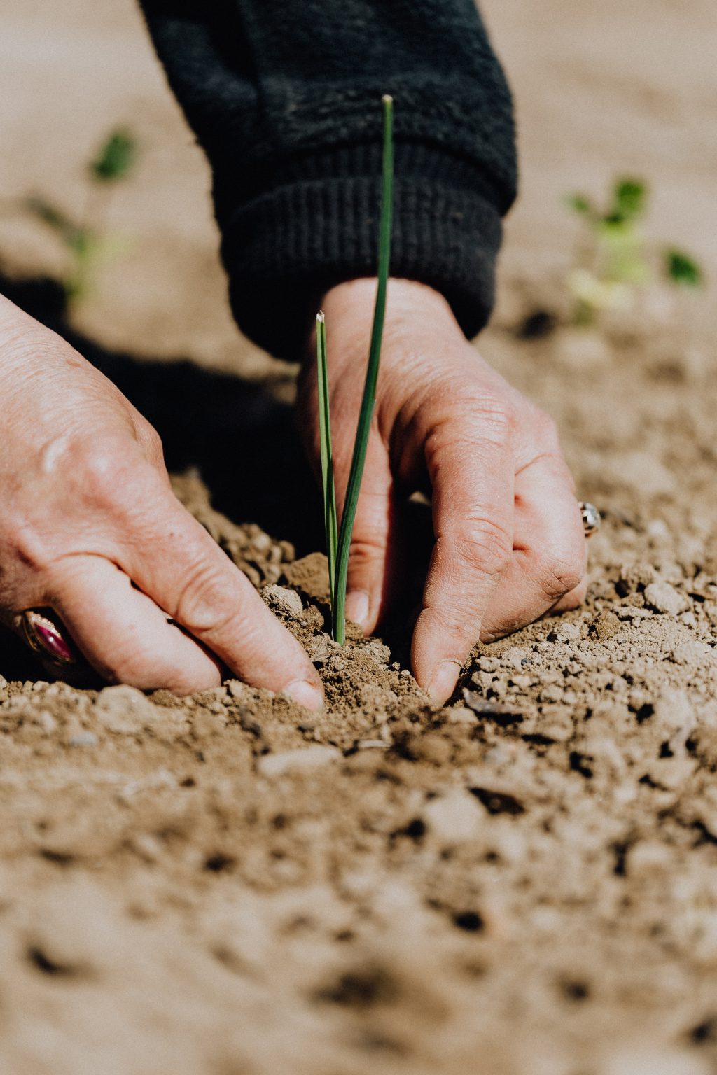 Social Responsibility for Nature